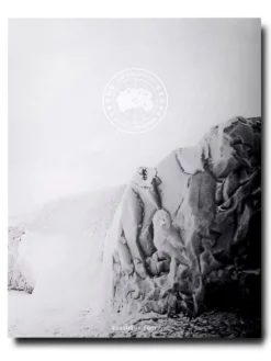 Assouline Boek Canada Goose