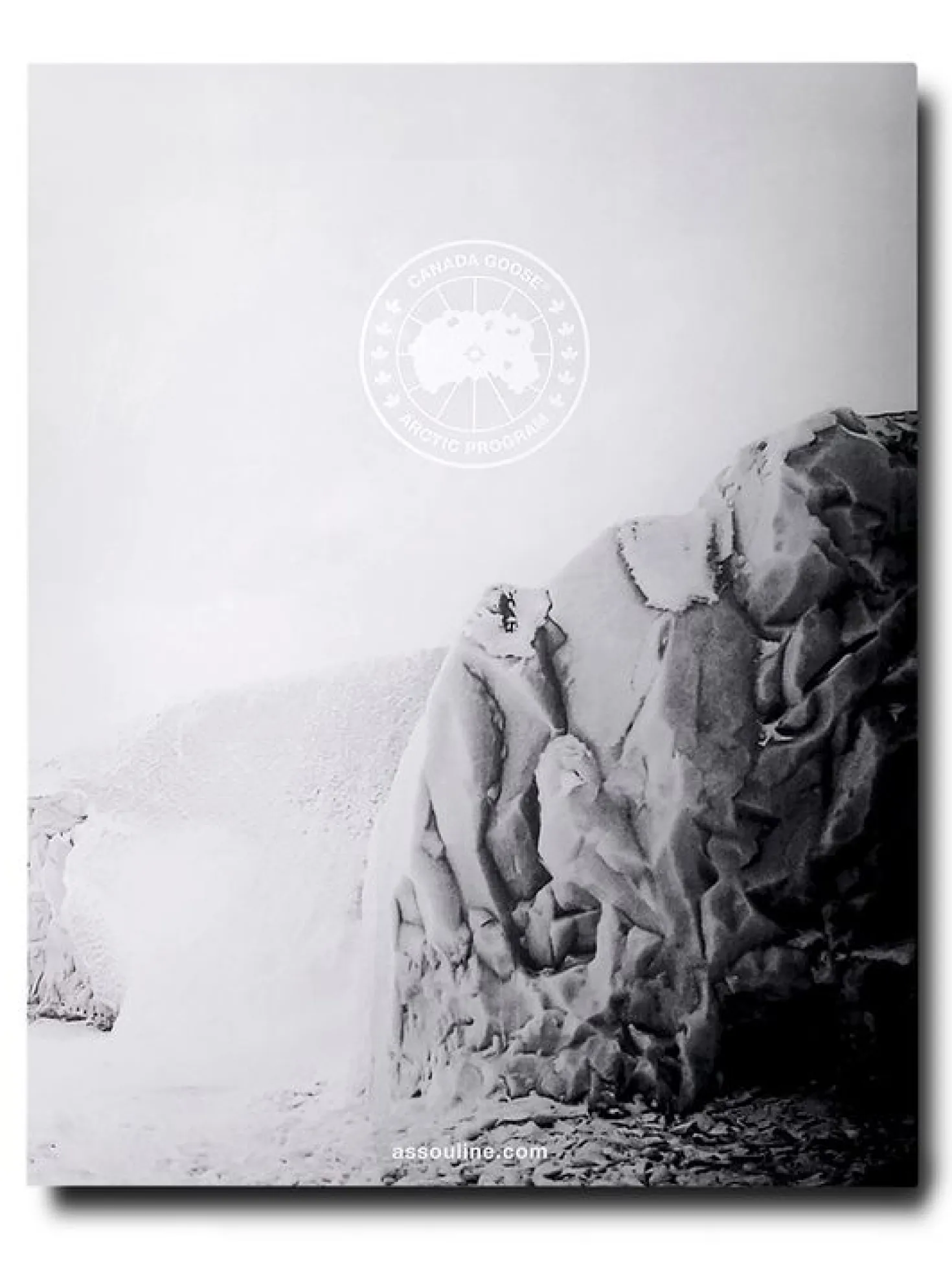 Assouline Boek Canada Goose