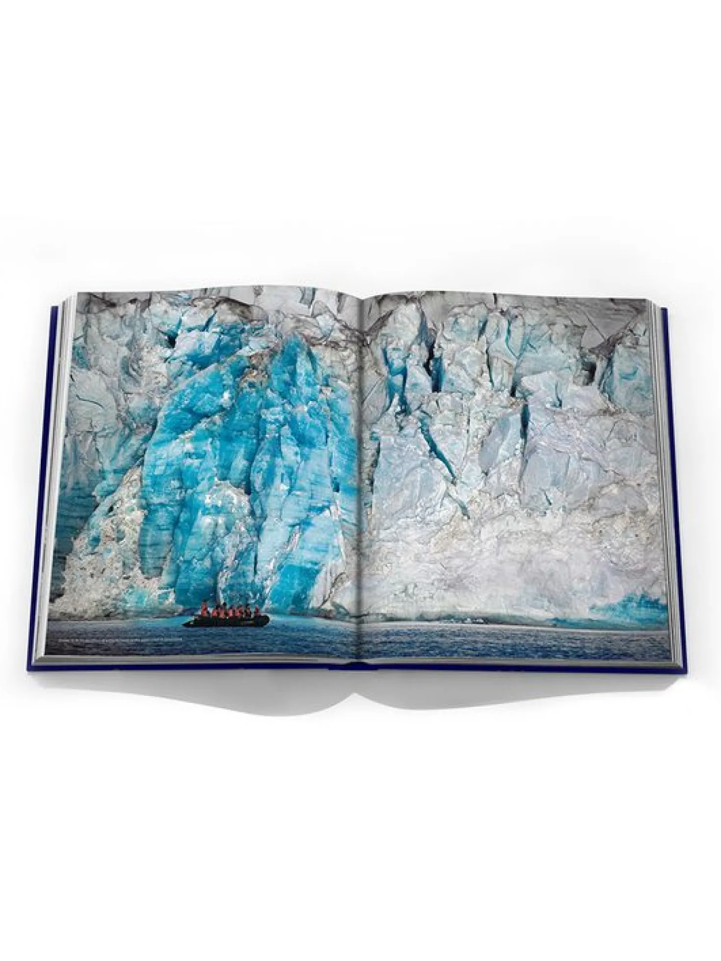 Assouline Boek Canada Goose
