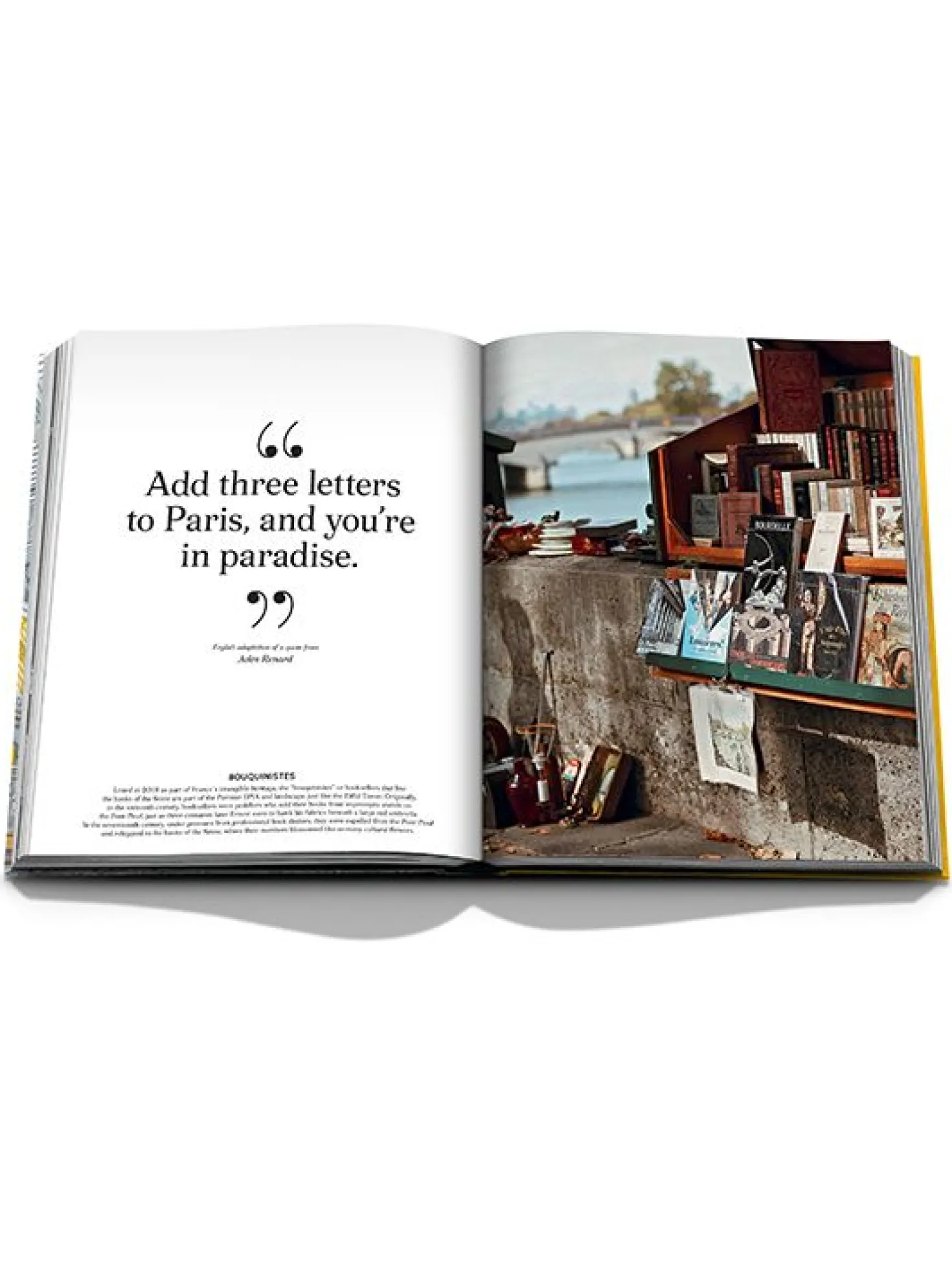 Assouline Boek Samaritaine: Paris Pont-Neuf