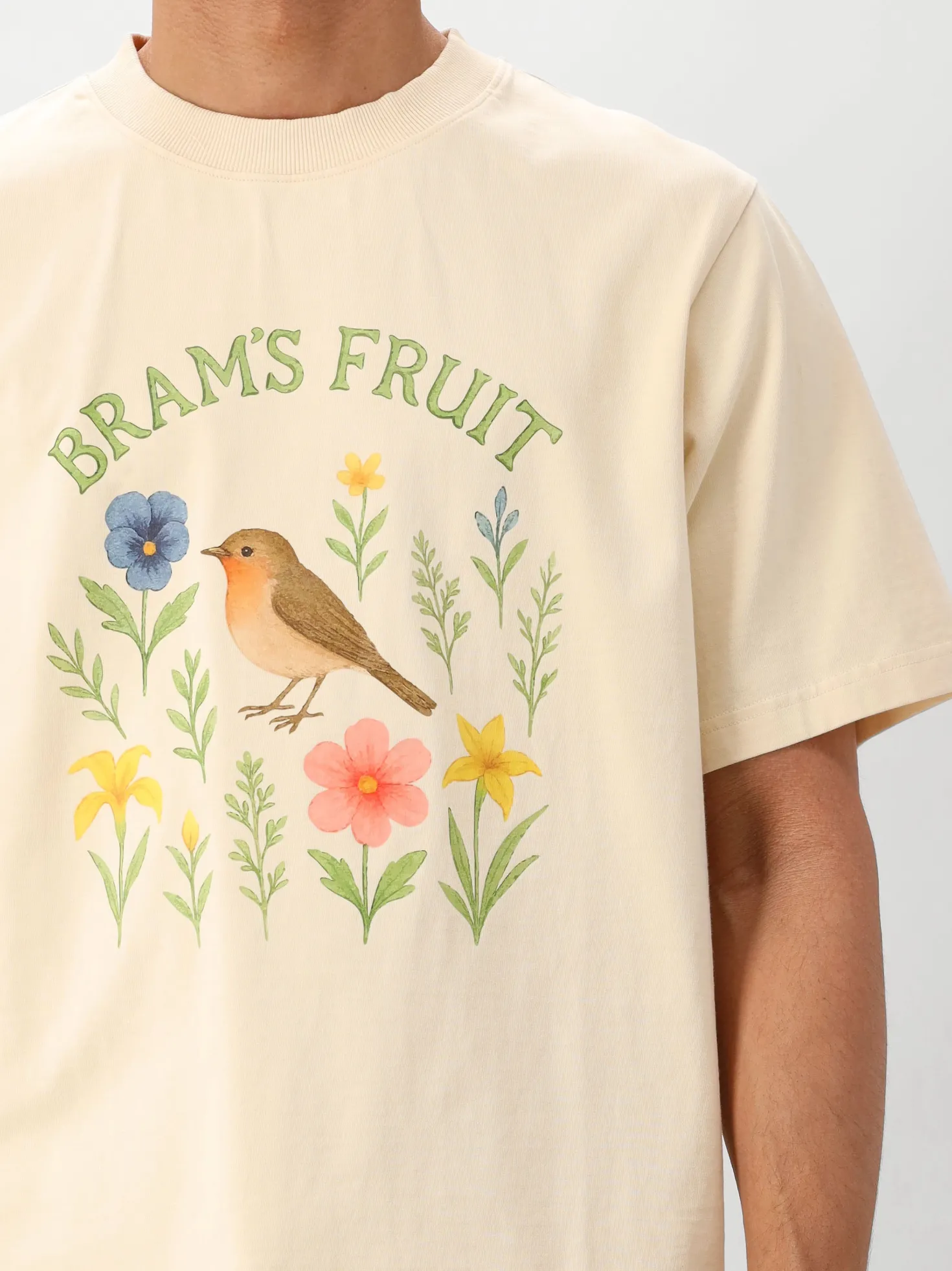 Bram's Fruit T-Shirt Beige Robin