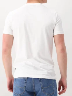 Cavallaro T-shirt Wit Bari