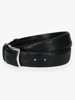 JOB86 Riem Zwart Python
