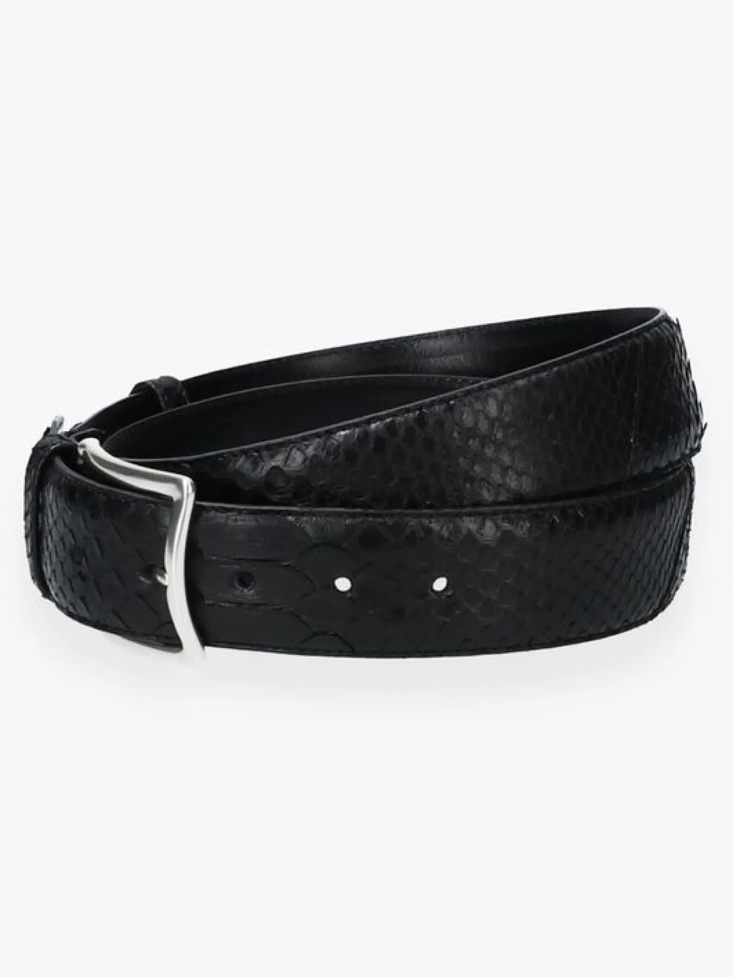 JOB86 Riem Zwart Python