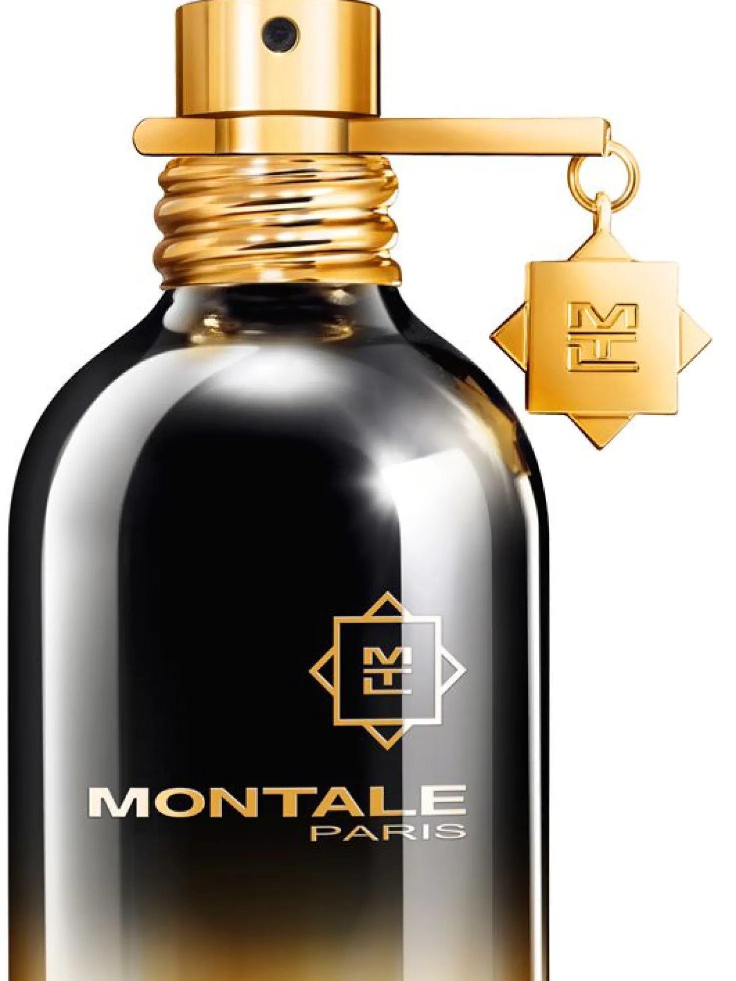 Montale Paris Parfum Amber Musk