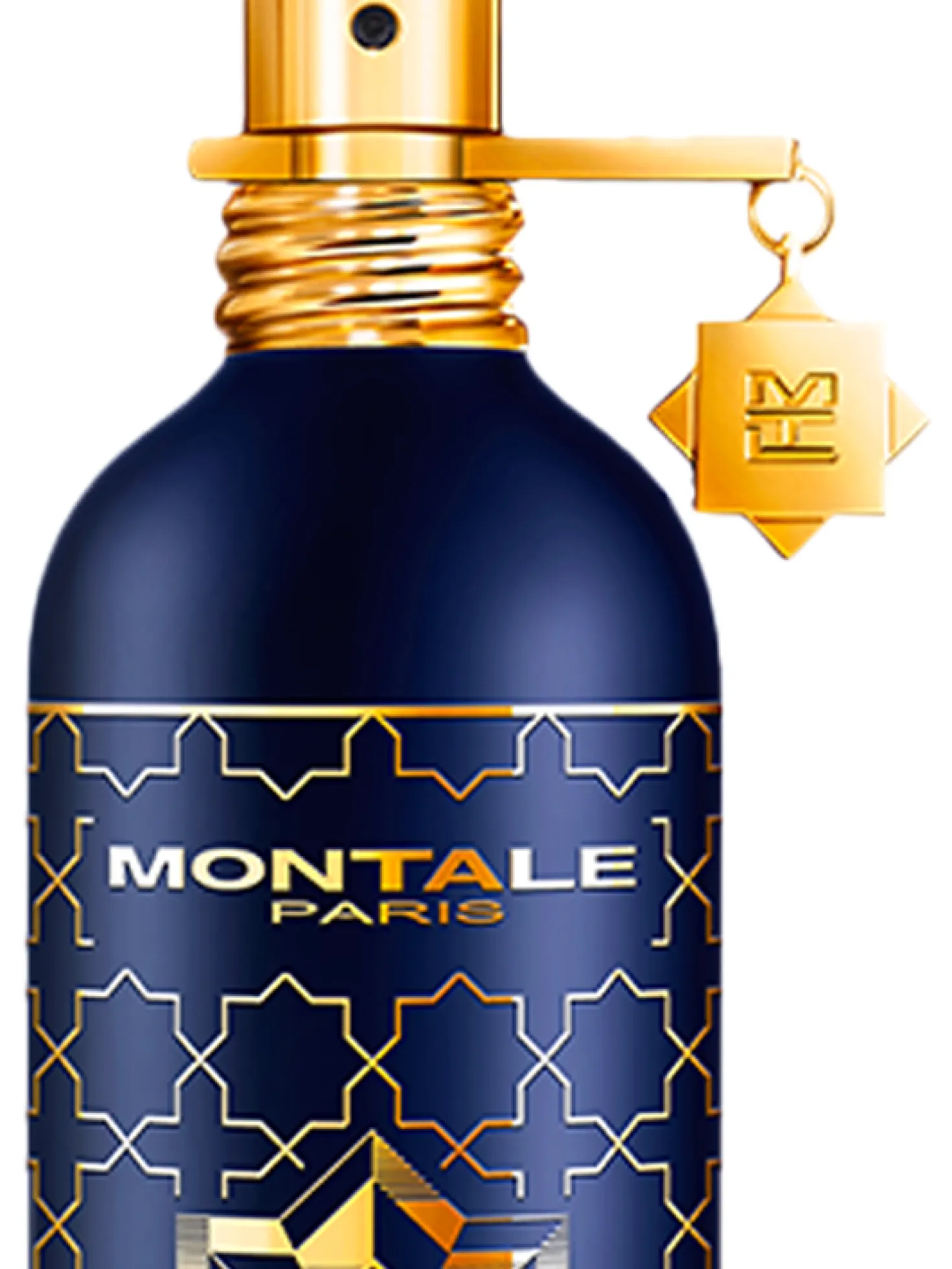 Montale Paris Parfum Infinity