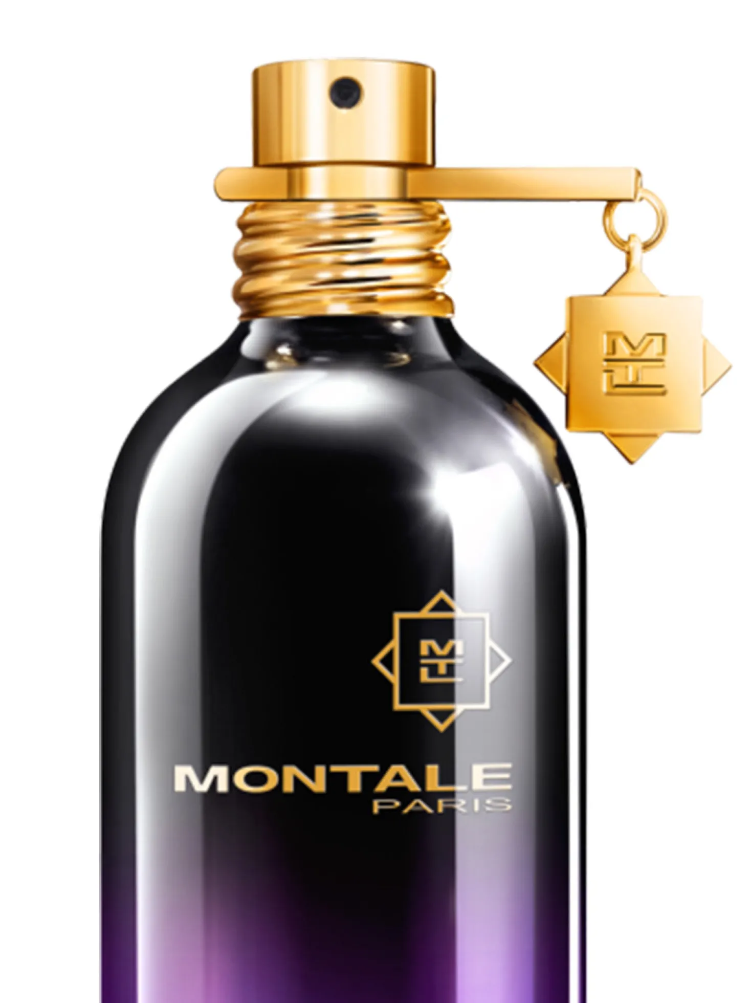 Montale Paris Parfum Intense Starry Nights
