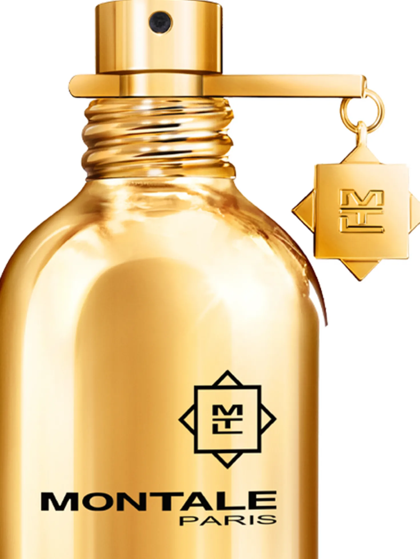Montale Paris Parfum Pure Gold